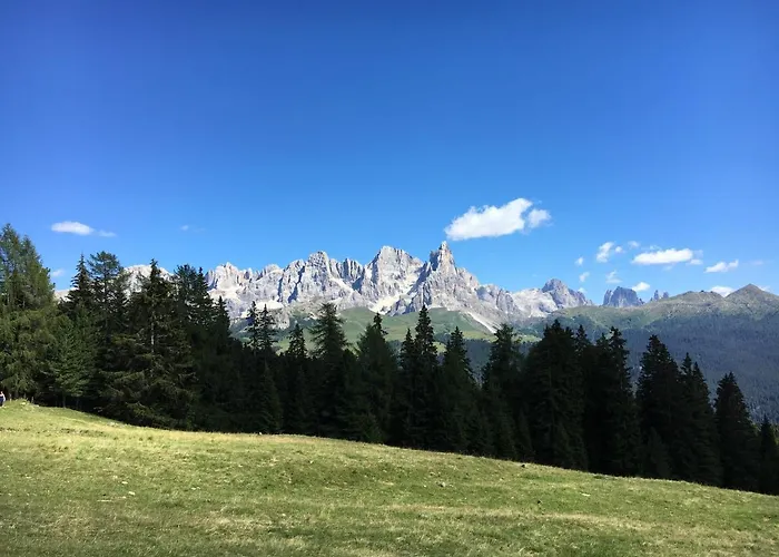 Il Finferlo