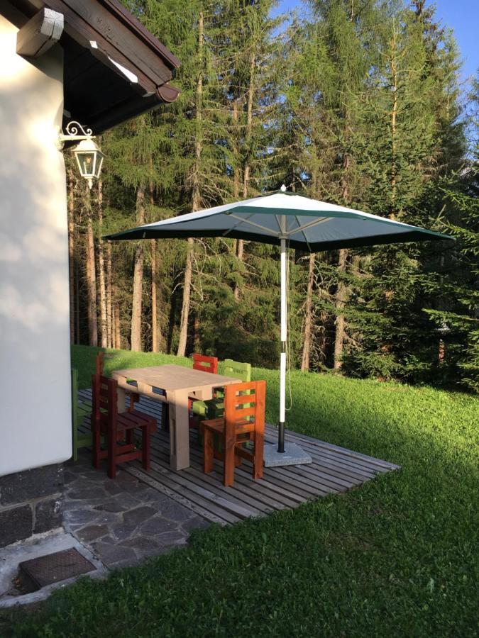 Il Finferlo Holiday home