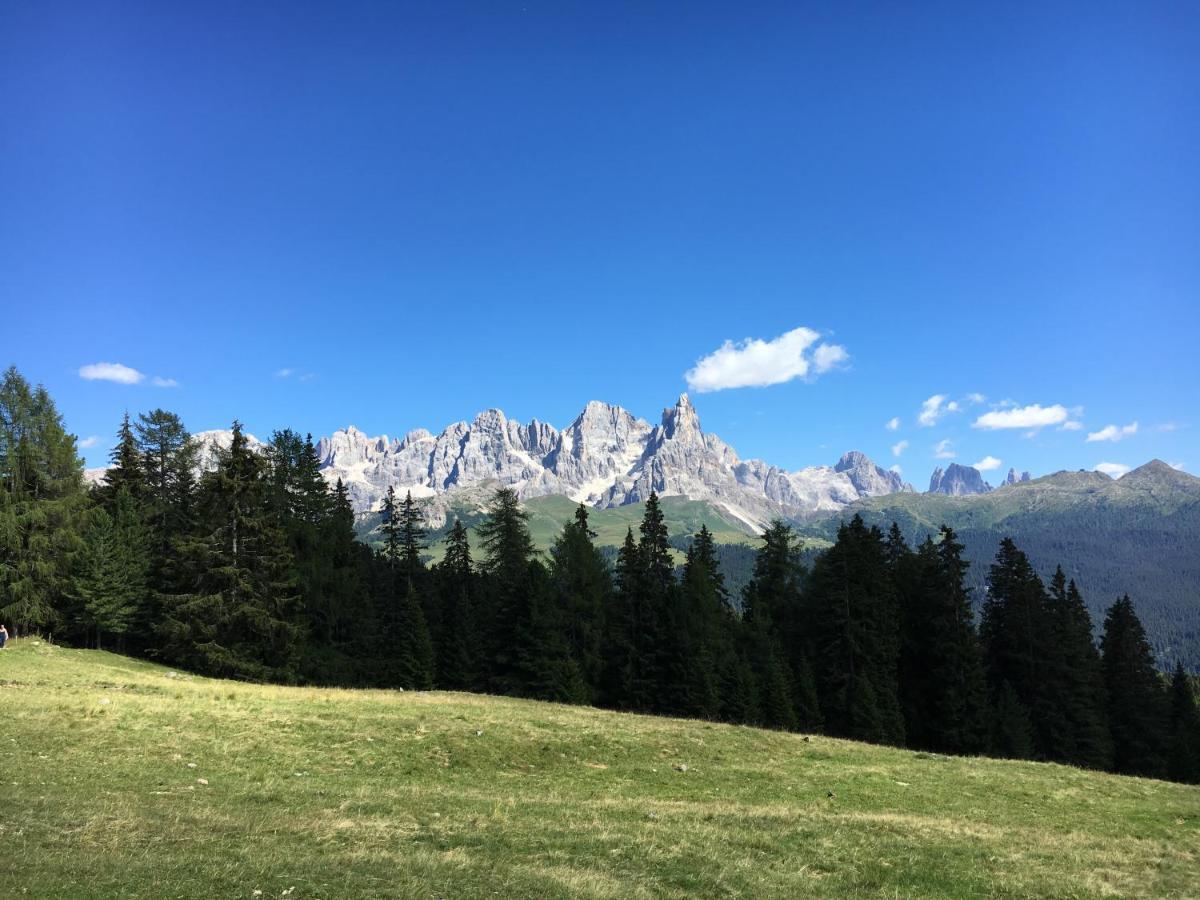 Il Finferlo *